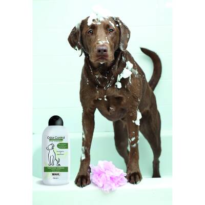 Wahl Odor Control 3999-7020 Okaliptüs ve Nane Özlü Koku Giderici 750 ml Köpek Şampuanı - 2